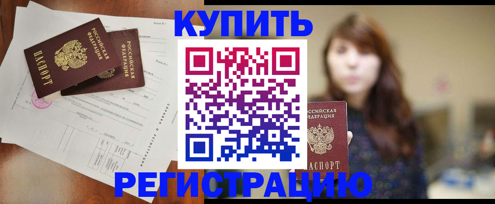 прописка поиск в Щёлково